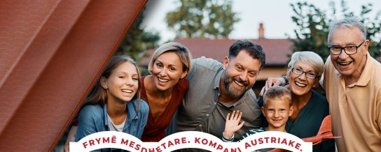 Rinovojmë çati me tjegulla Tondach të formatit të madh