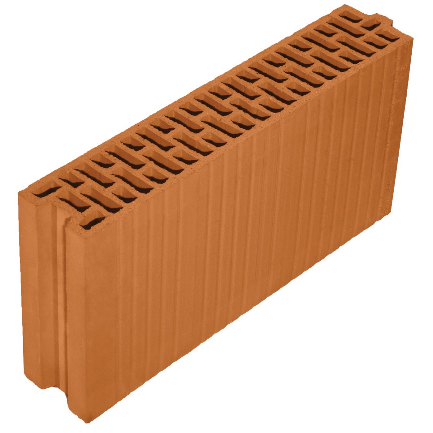 Porotherm 10 N+F Profi brick